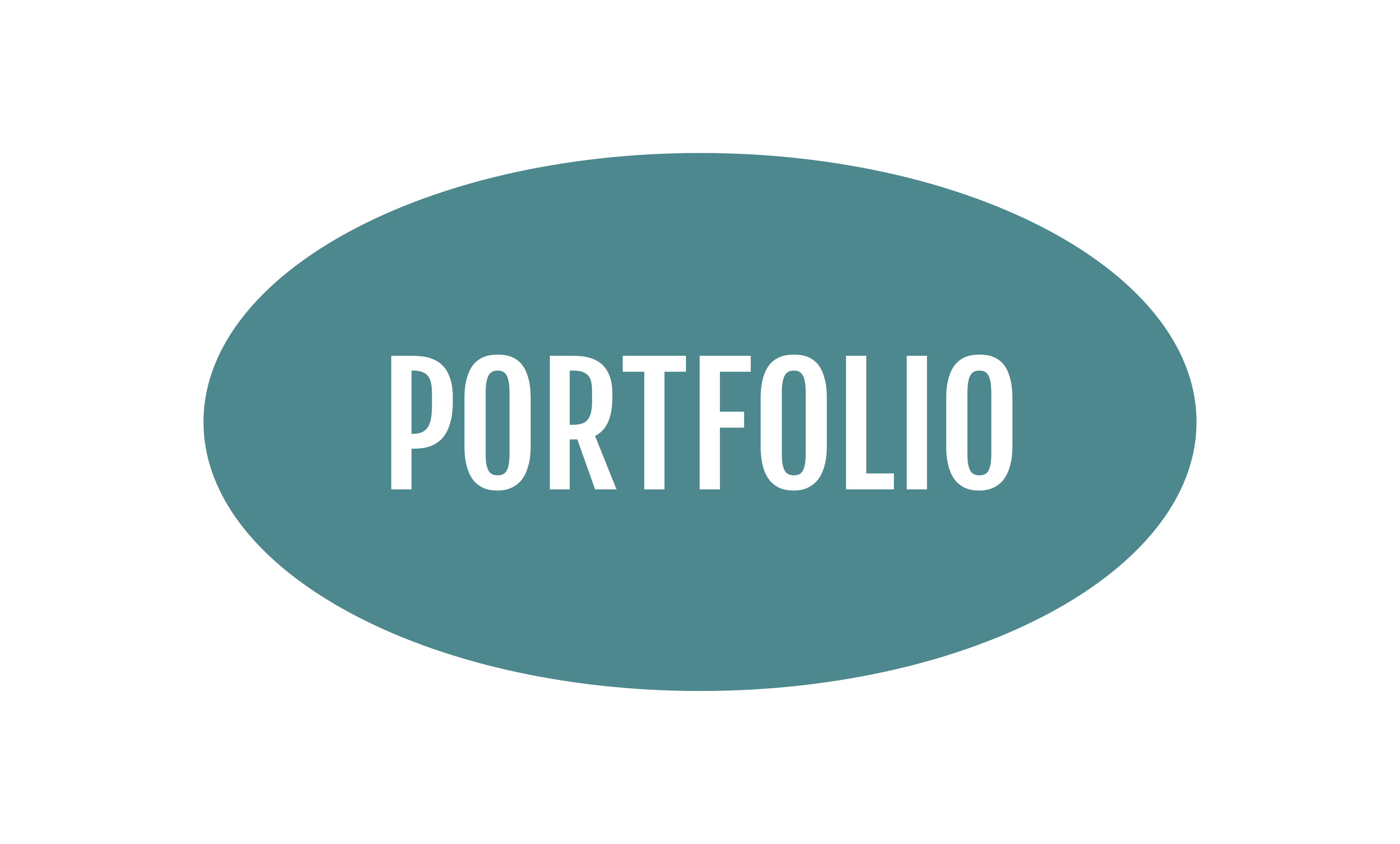 Vijay Shukla Portfolio Logo